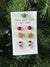 3 Pack Snowman Earring Set