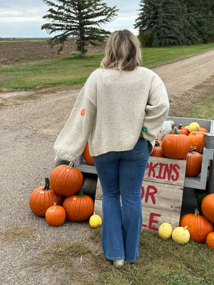 Oatmeal Cardigan with Fall Floral Detail