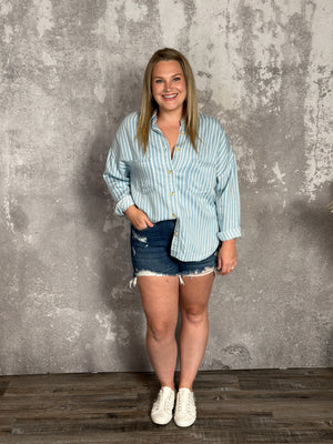 Denim Stripe Button Up Top