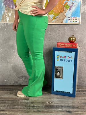 Disco Stretch Flare - Green